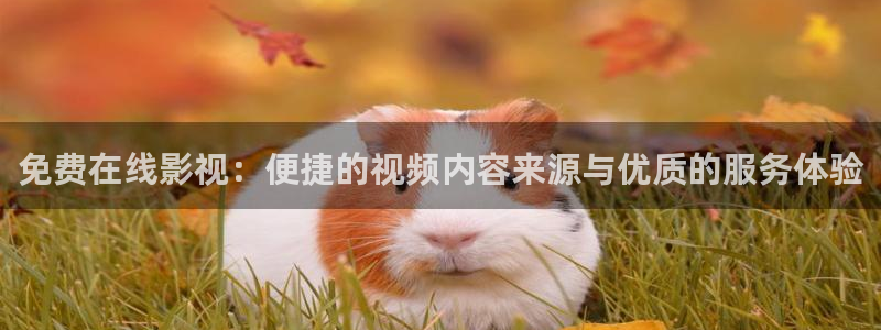 悟空电影天堂神马影院