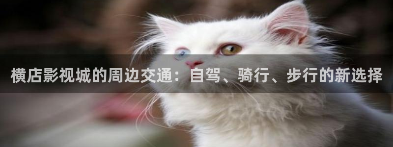 《天堂电影院》